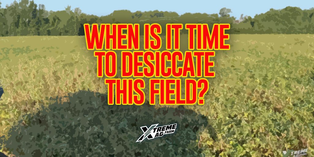 Timing Soybean Desiccation Choosing the Perfect Time