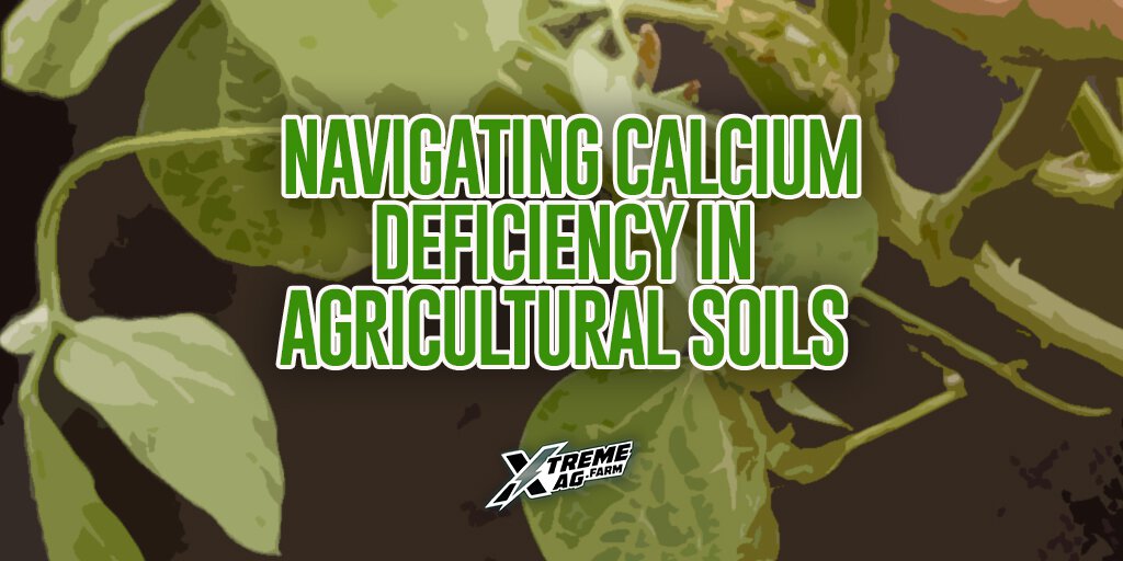 Navigating Calcium Deficiency in Agricultural Soils