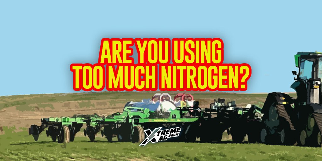 Maximize Corn Yield Are You Using Too Much Nitrogen?