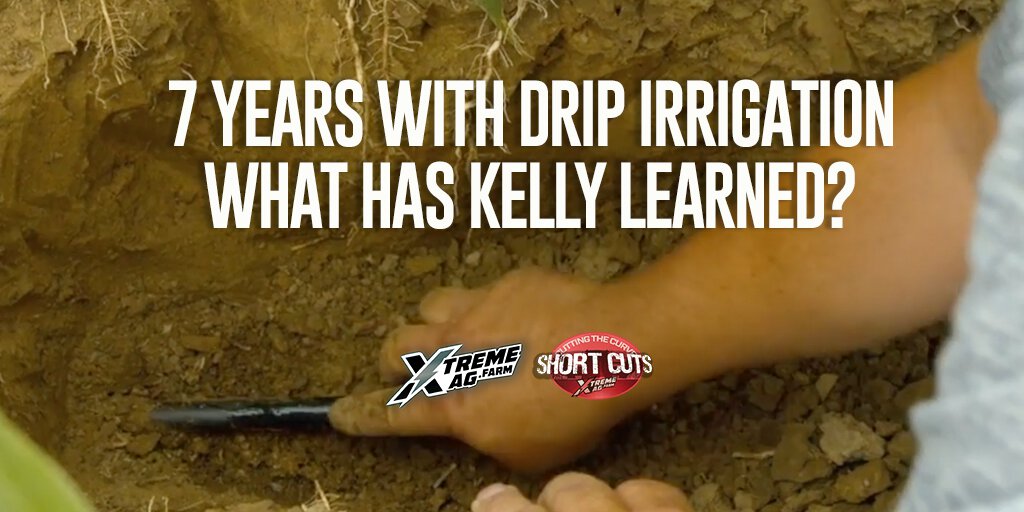 Drip Irrigation Insights: Kelly's 7-Year Transformation