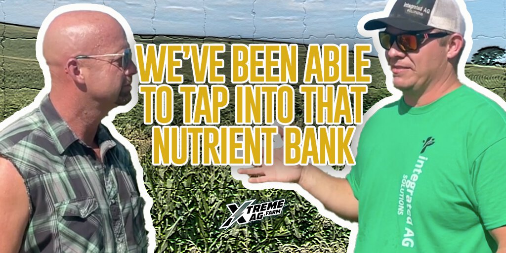 Crop Health How to Move Nutrients from Soil to Plant