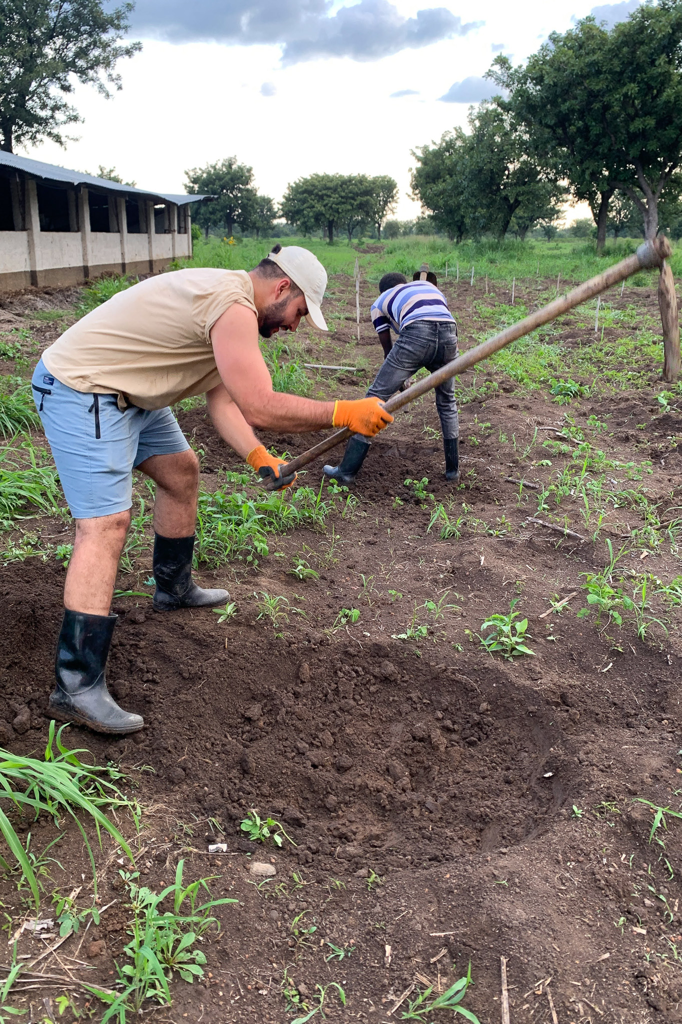 Two people wearing boots and gloves are digging in a garden with hoes. Trees and a building are visible in the background.