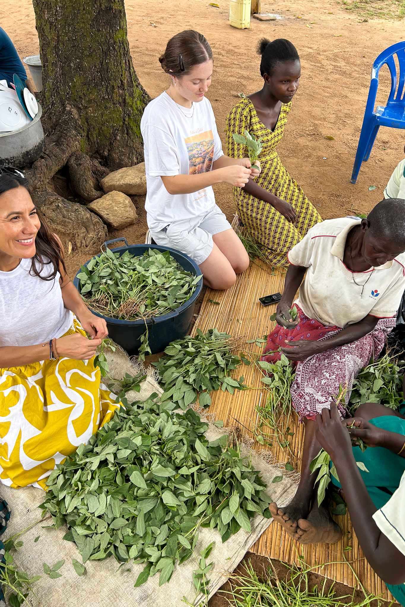 A group of people sitting on the ground, sorting leaves into piles, by a tree and a blue chair on a woven mat.