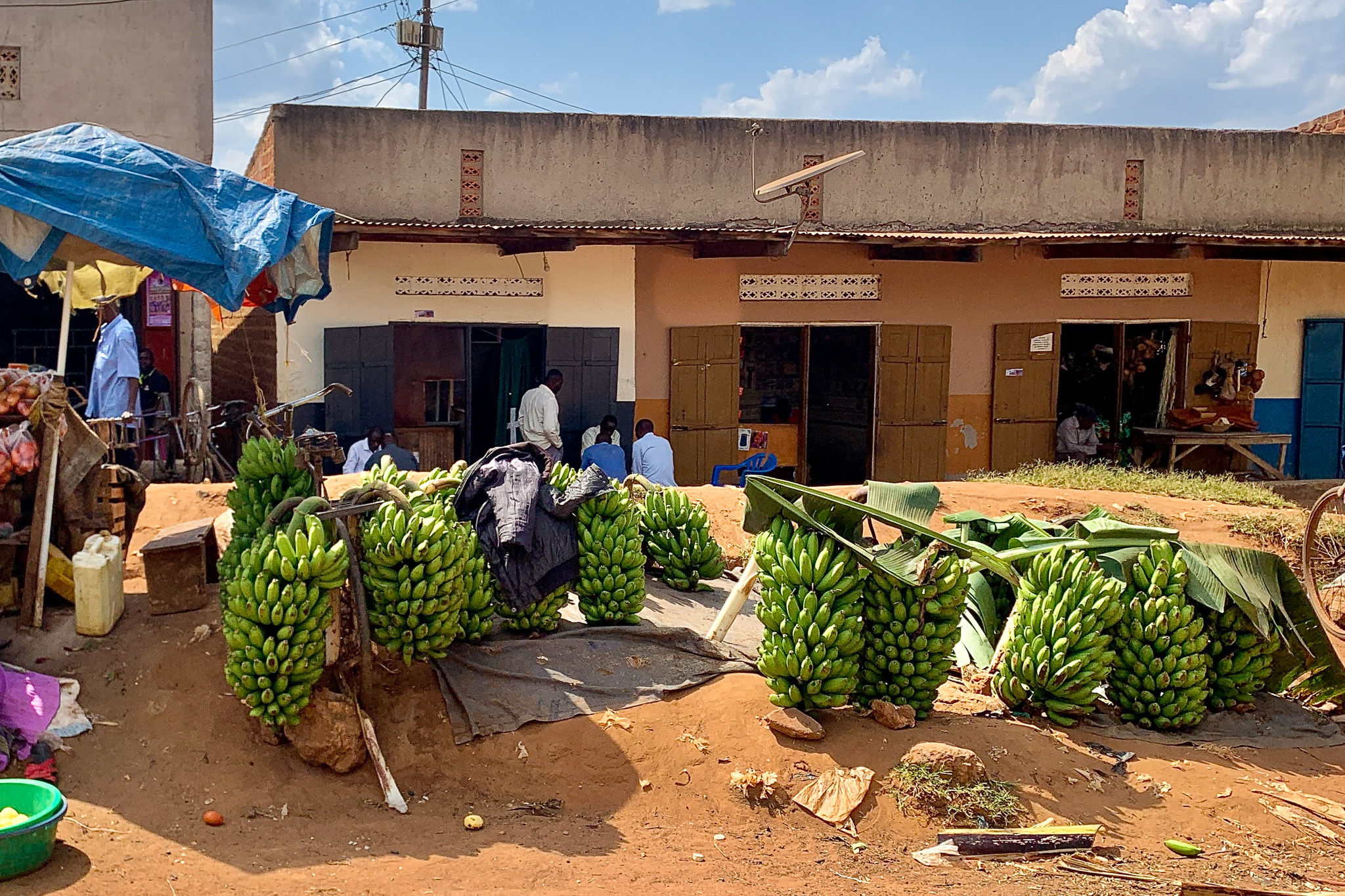 Bunches of green bananas on display in front of a market building with people visible inside and vivid blue sky overhead.