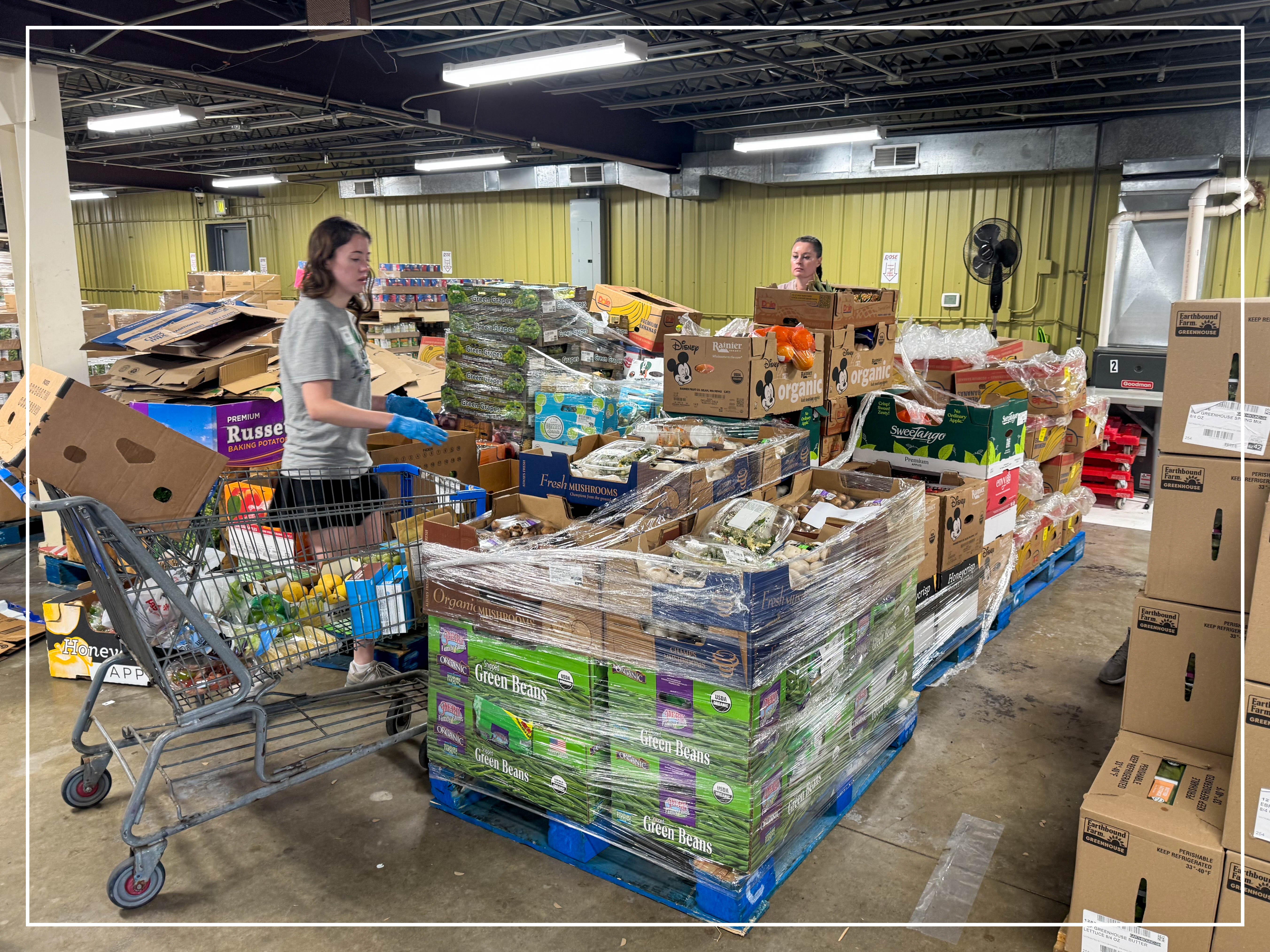 People sorting boxes and produce on pallets in a warehouse, with a shopping cart filled with food items nearby.