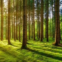 The Silence wasn’t to be Feared