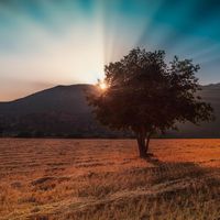 Work with God's Purpose