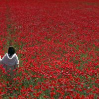 Almighty God–Father, Son and Holy, You Tell