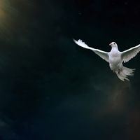 God's Love: Our True Guide