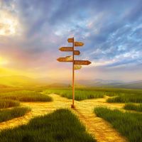 Choice is a Value of Modern Society