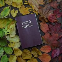 Home: A Desire for Permanence