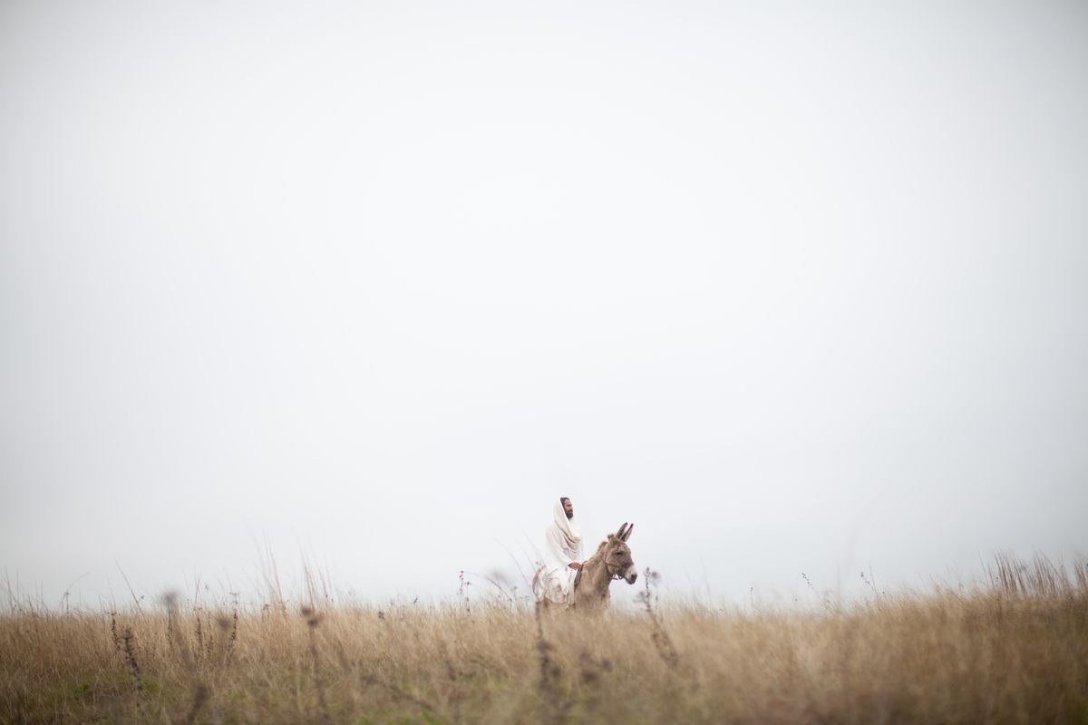 Jesus draped in white riding a donkey across dry grass under a pale, empty sky.