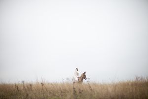 Jesus draped in white riding a donkey across dry grass under a pale, empty sky.