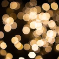 In this season of Advent, may you go forth