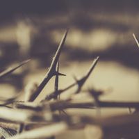 Confession and Forgiveness in Christ