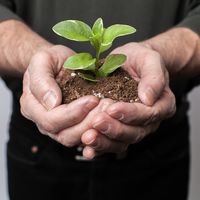 Scripture Guide, 2 Corinthians 5:16-21