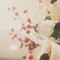 Loving and faithful God, as we begin