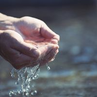 Pastor: As a deer pants for flowing streams,