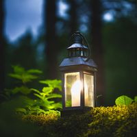 The Value of Not Watering Your Plants