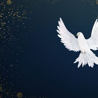 The point is this. If you want to know