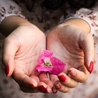 When we speak of being the steward of our life