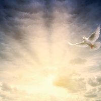 Called to Be God's Light