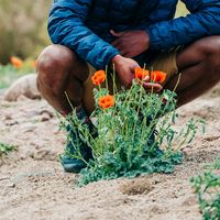 You can cut all the flowers but you