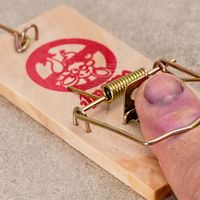 Better to remain silent and be thought