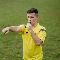 Reasons for the Rules