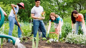 Four people gardening together, planting flowers and vegetables in a lush garden, representing community
