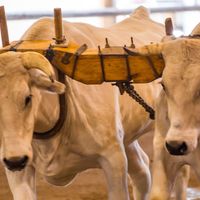 Grace is costly because it compels a