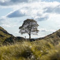 We Are Citizens of One Kingdom