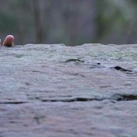 We cannot will ourselves to accept