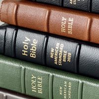 Why Are Our Bibles Different? Part 2: Let's Talk Translations