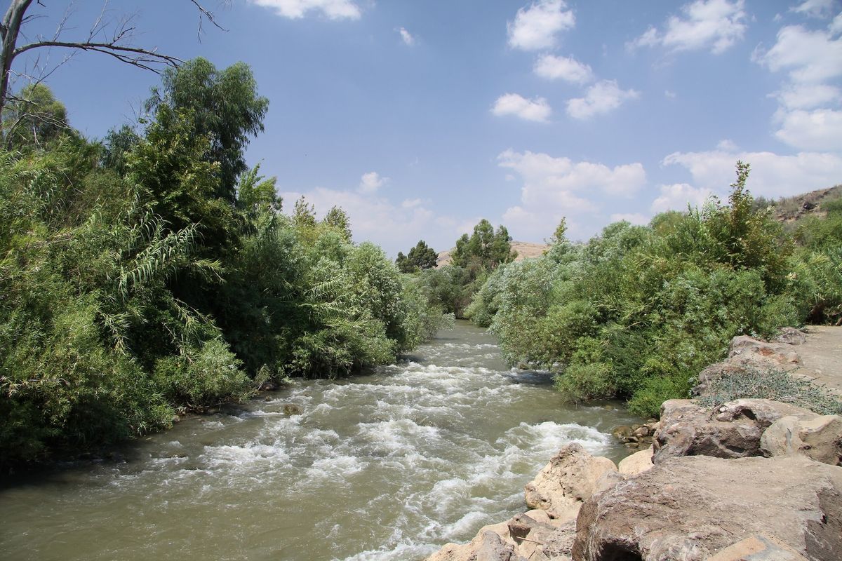 Olive-colored river rapids enclosed on either side by light-green plants, with large rocks in the foreground, under a bright sky with puffy clouds.