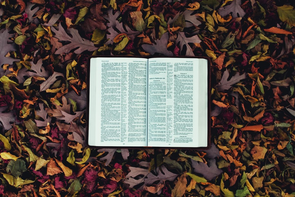 An open Bible lays on fall leaves.