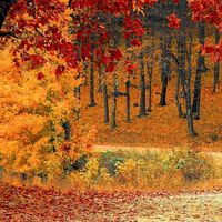 Walking in God's Holy Ways