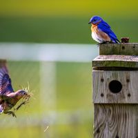 Humble and Loving King, You have created us and provide for our every need. 