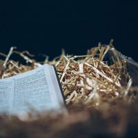 The Surprising Advent of the Trinity