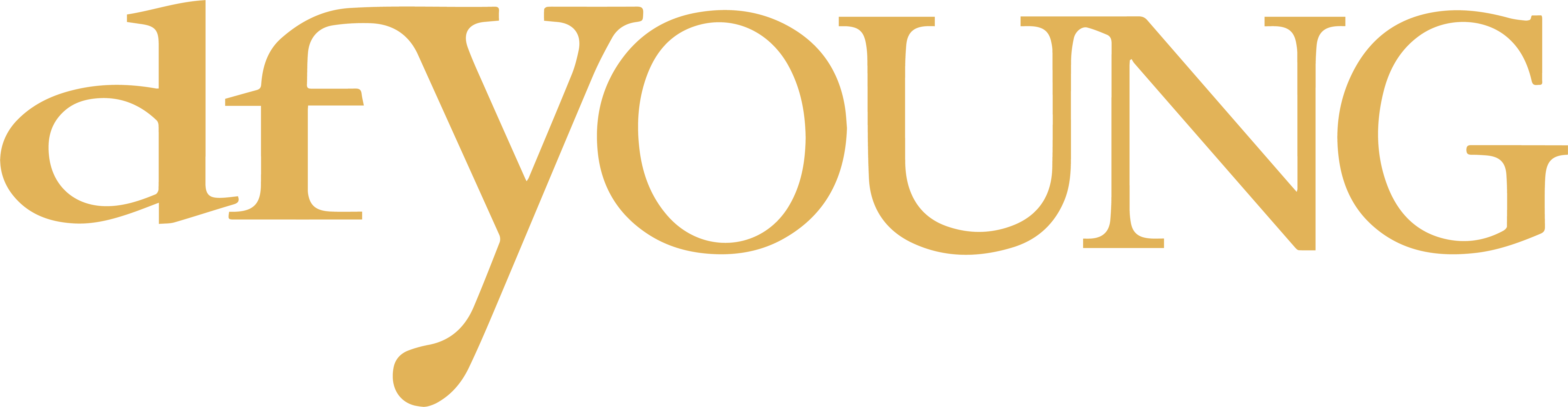 dfYOUNG logo