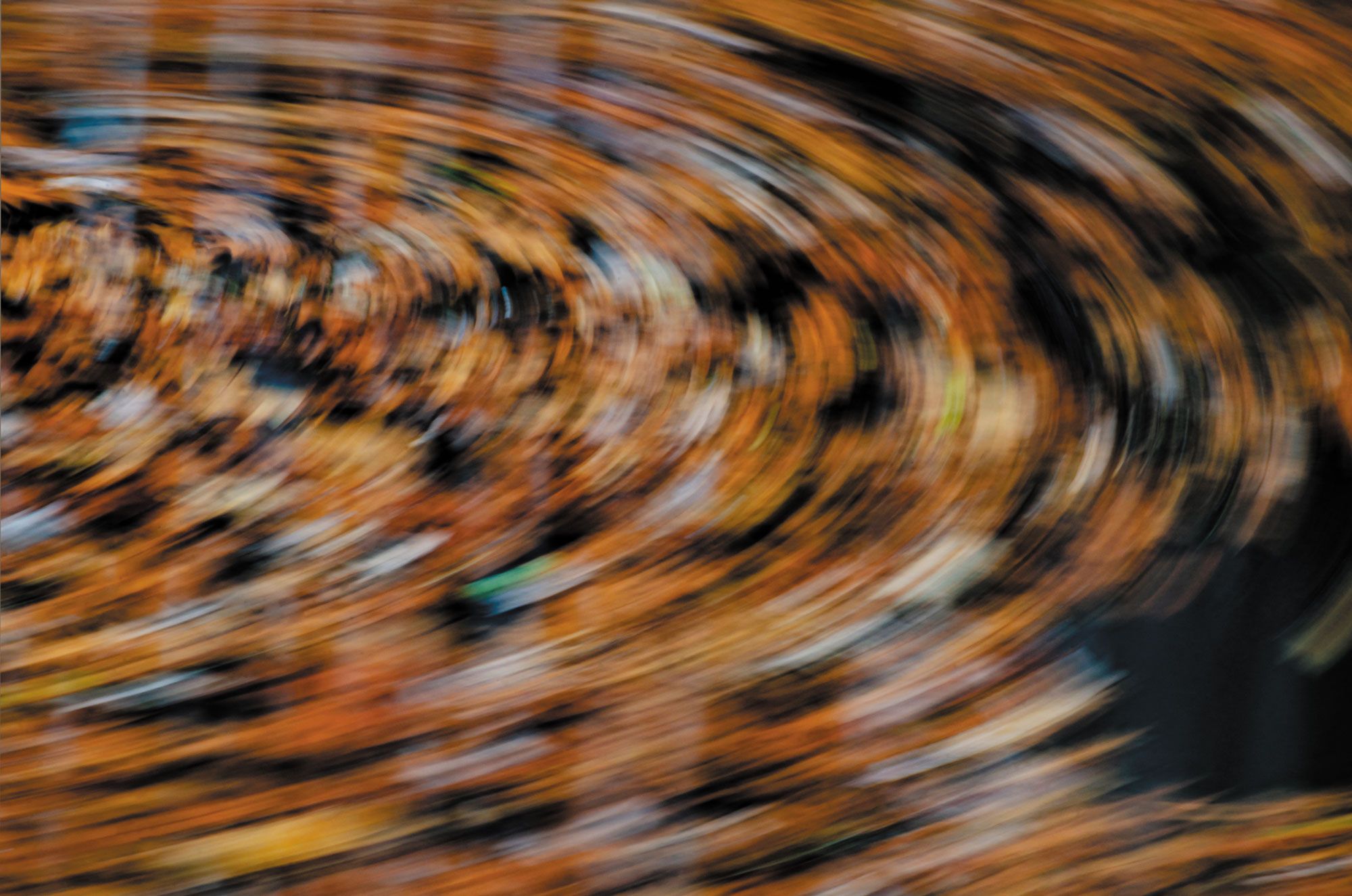 Abstract image of swirling motion blur in shades of orange and black, creating a dynamic, circular pattern.
