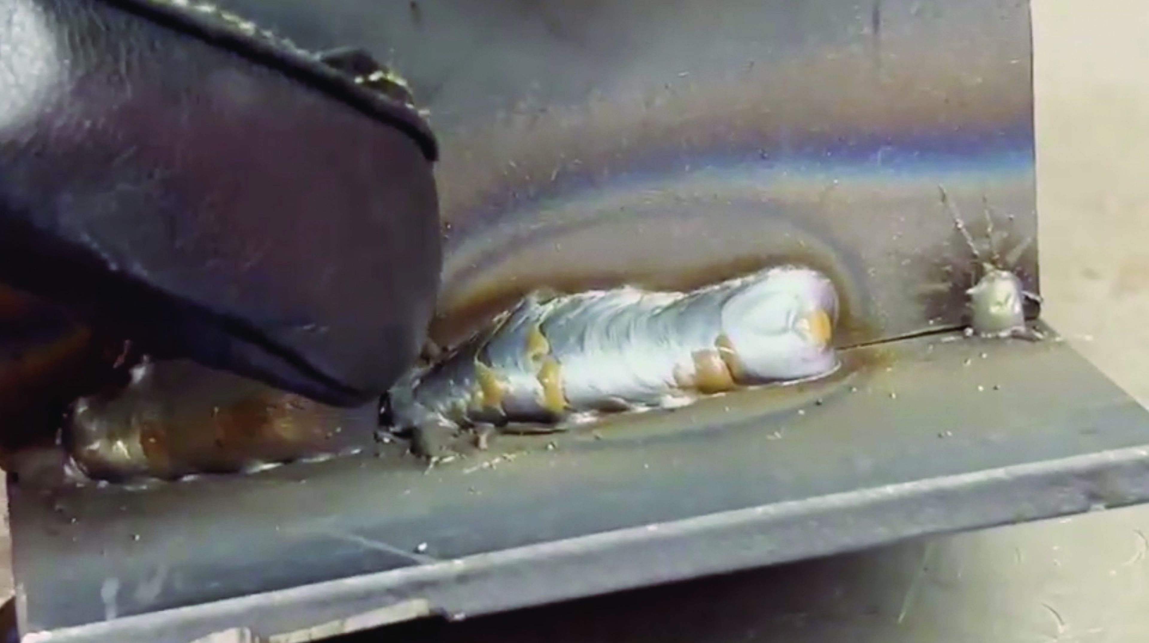 Aluminum-cased acoustic sensor from Sonibel Instruments monitoring a weld bead in real time during welding