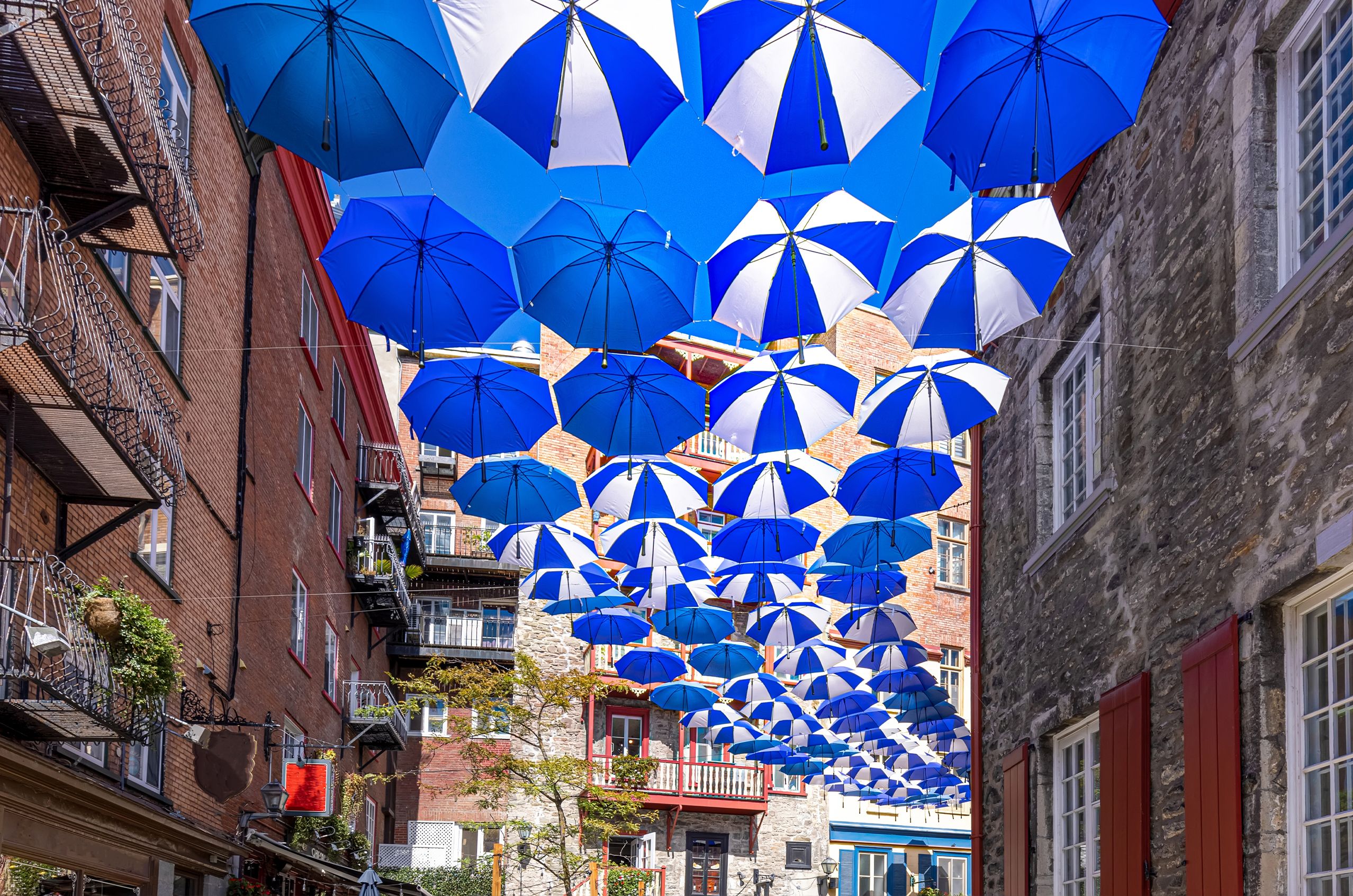 A canopy of blue and white umbrellas hangs between brick buildings on a city street, creating a colorful and whimsical overhead display.