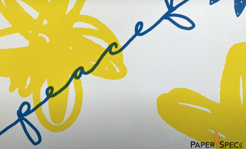 PaperSpecs Video Screenshot