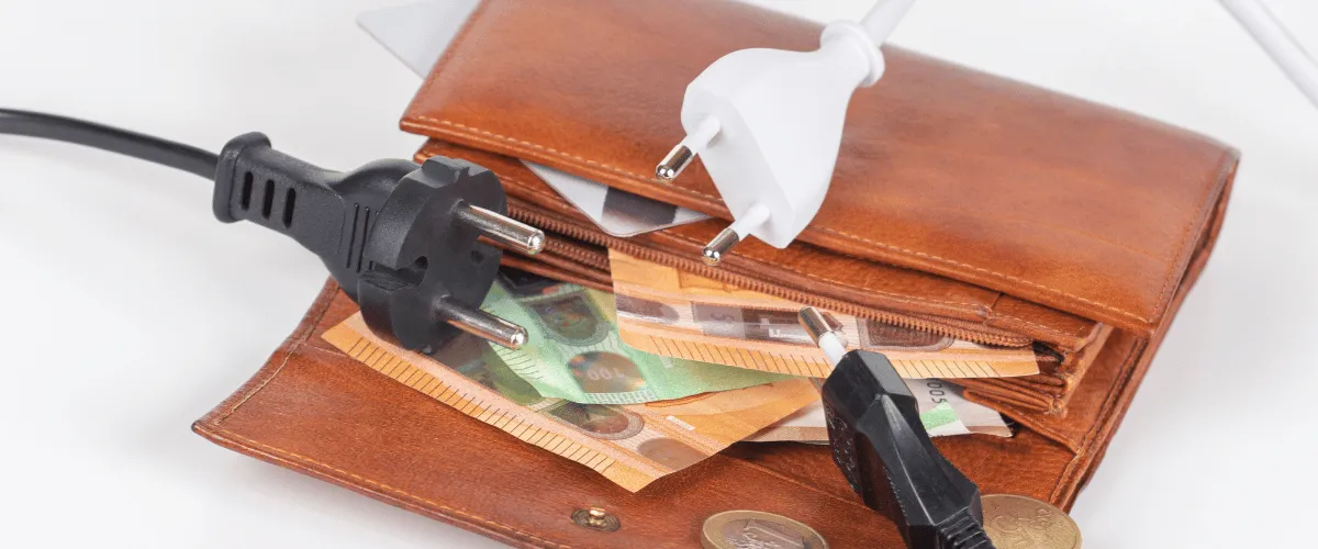Don't Get Teased and Squeezed by Electricity Providers: Protect Your Wallet