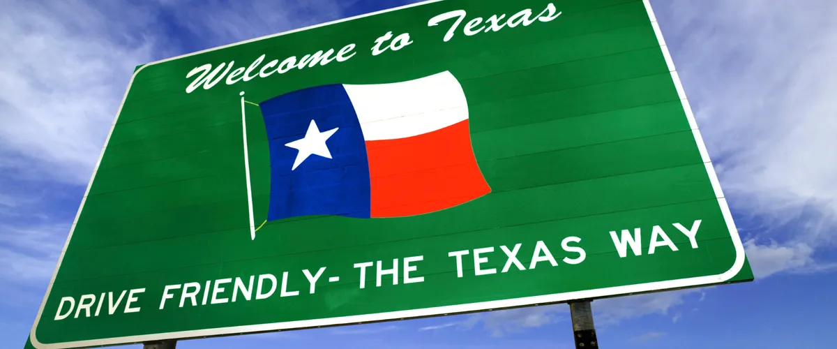 Understanding the Texas Electricity Ecosystem: ERCOT, REPS, and Distribution