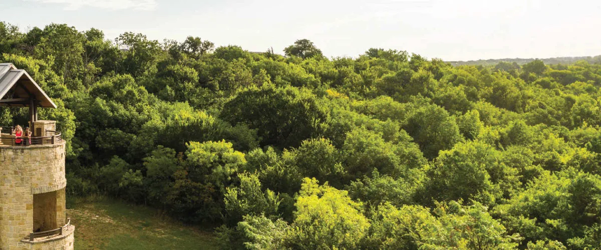 Plano, TX Neighborhood Guide: High-Income Suburb, Everyday Living