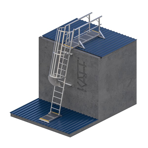 RL33-Angled-caged-laddder_2
