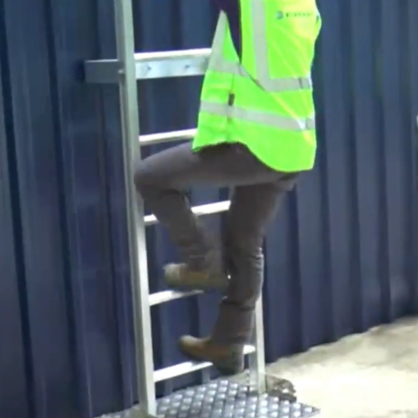Rl40 Vertical Caged Rung Ladders – DJFOZM