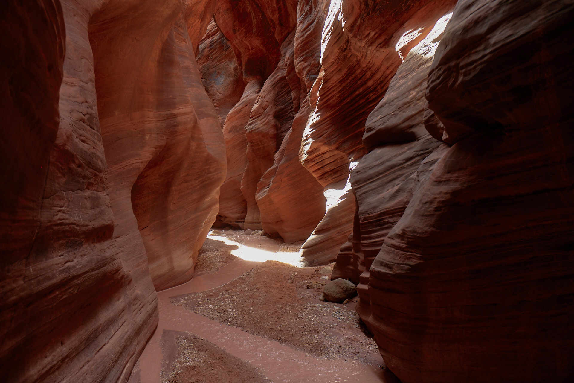 Way Beyond Grand | Wildsam